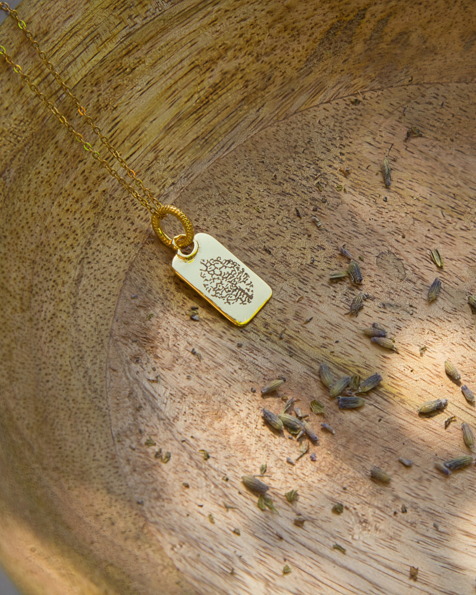 Rechteckiger Gravuranhänger Bundle mit Nasen-, Finger- oder Pfotenabdruck inkl. Kette & Geburtsstein aus 14K vergoldetem Edelstahl